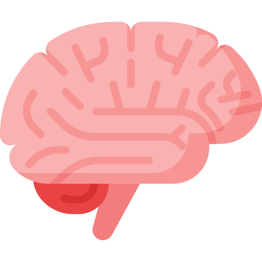 Neurologie