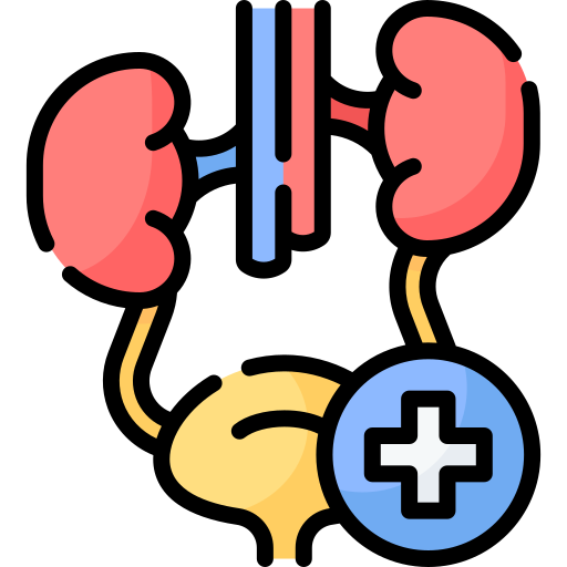 Urologie